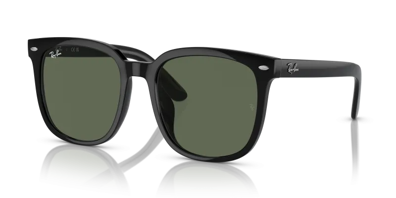 Rayban RB4401D 601 71 แว่นกันแดดดำ Unisex