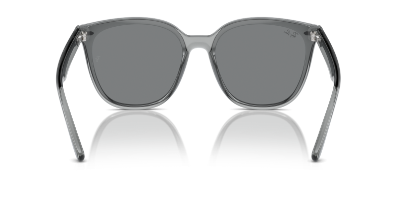 Rayban RB4423D 645087 ขาแว่นด้านใน