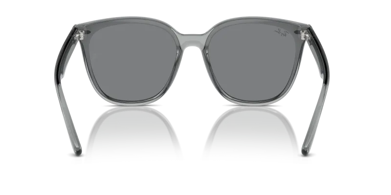 Rayban RB4423D 645087 ขาแว่นด้านใน