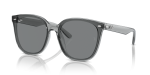 Rayban RB4423D Transparent Grey Dark Grey