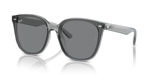 Rayban RB4423D Transparent Grey Dark Grey