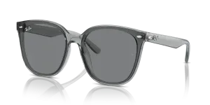 Rayban RB4423D Transparent Grey Dark Grey