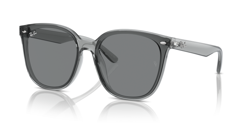 Rayban RB4423D Transparent Grey Dark Grey