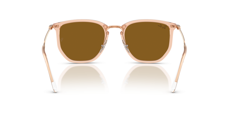 Rayban RB4451 680133 ขาแว่นด้านใน