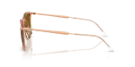 แว่นกันแดด Rayban RB4451-680133 Transparent Beige Brown แว่นกันแดด Rayban RB4451 ทรงเรขาคณิต มุมข้าง