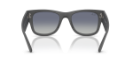 Rayban RB4840S 60174L ขาแว่นด้านใน