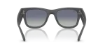 Rayban RB4840S 60174L ขาแว่นด้านใน