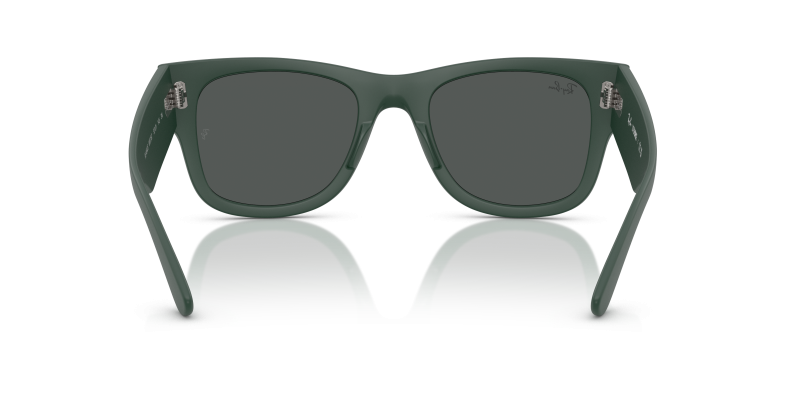 Rayban RB4840S 665787 ขาแว่นด้านใน