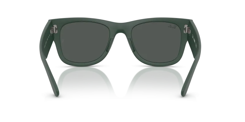 Rayban RB4840S 665787 ขาแว่นด้านใน