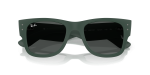 Rayban RB4840S 665787 close-up ด้านหน้า