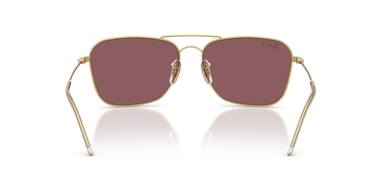 Rayban RBR0102S 001LB ขาแว่นด้านใน