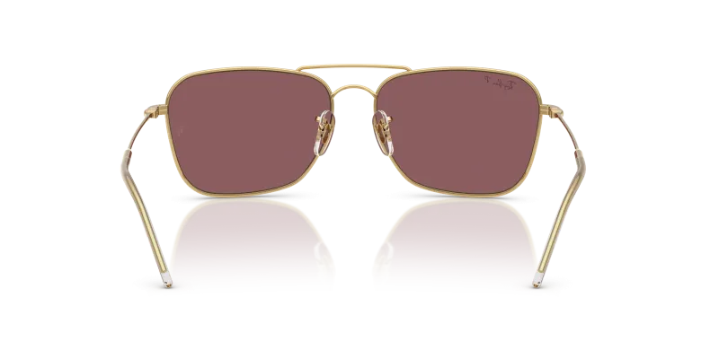 Rayban RBR0102S 001LB ขาแว่นด้านใน
