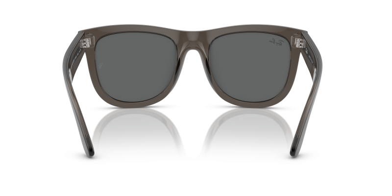 Rayban Wayfarer Reverse RBR0502S-6707GR เทาเข้มโปร่งใส ขาแว่นด้านใน