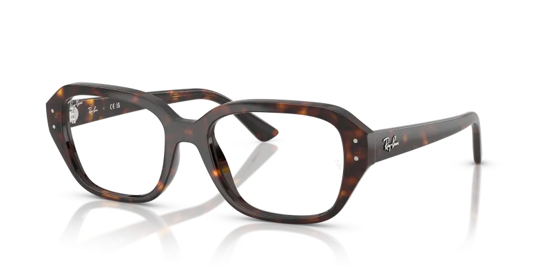 กรอบแว่นสายตา Rayban SHEA RX7258F-8320 Havana Rayban RX7258F SHEA Havana ลายเต่า