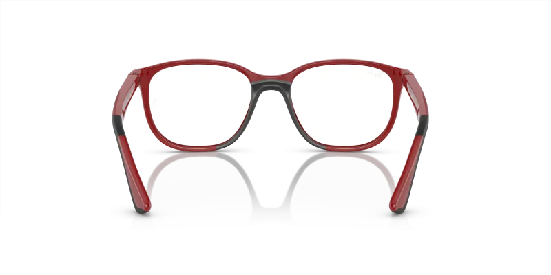 Rayban RY9078VF 3950 ขาแว่นด้านใน