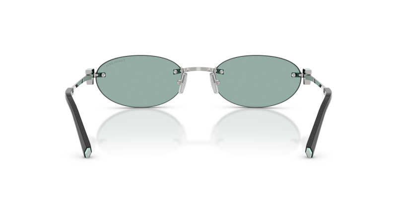 Tiffany & Co TF3119D-600165 ขาแว่นด้านใน