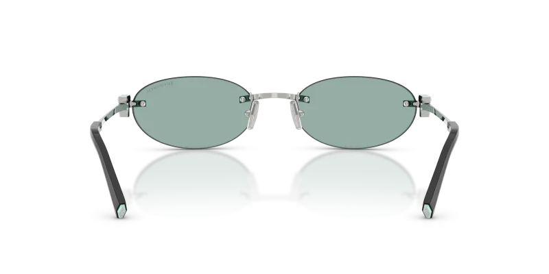 Tiffany & Co TF3119D-600165 ขาแว่นด้านใน