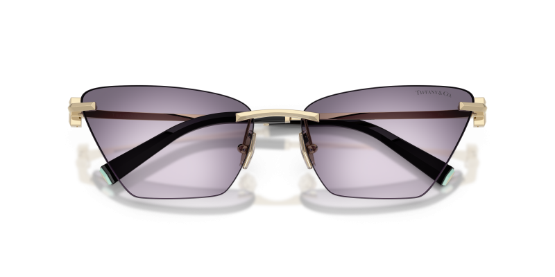Tiffany & Co TF3120 62438H close-up ด้านหน้า