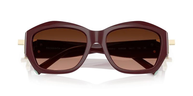 Tiffany & Co TF4233U 83895M close-up ด้านหน้า
