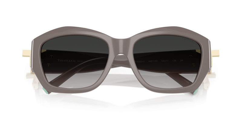Tiffany & Co TF4233U 84013C close-up ด้านหน้า