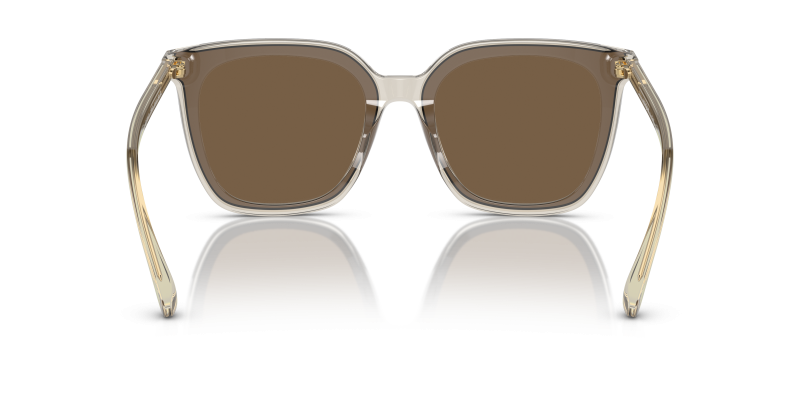 Vogue VO5499SD 299873 ขาแว่นด้านใน