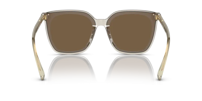 Vogue VO5499SD 299873 ขาแว่นด้านใน