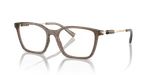 Shiny Transparent Brown