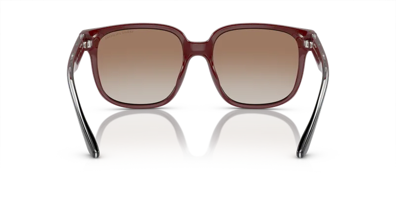 แว่นกันแดด Armani Exchange AX4136SU-82986F บอร์โดประกาย ด้านหลัง