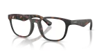 Matte Dark Havana