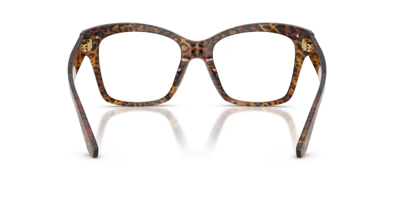 Dolce & Gabbana DG3419-3470 Leo Transparent ขาแว่นด้านใน