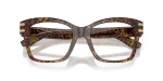Dolce & Gabbana DG3419-3470 Leo Transparent close-up ด้านหน้า