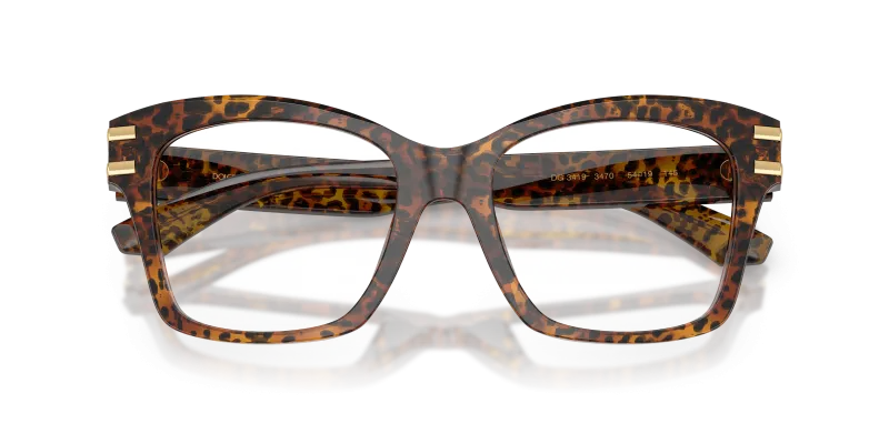 Dolce & Gabbana DG3419-3470 Leo Transparent close-up ด้านหน้า