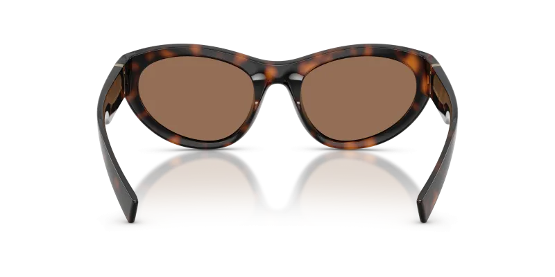 แว่นกันแดด Dolce & Gabbana DG6207-502/73 ฮาวานา ขาแว่นด้านใน