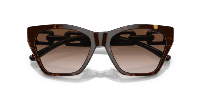 แว่นกันแดด Emporio Armani EA4203U-502613 close-up ด้านหน้า