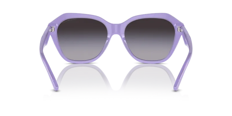 แว่นกันแดด Emporio Armani EA4221F-61178G ด้านหลังโครงเต็มขอบคานต่ำ
