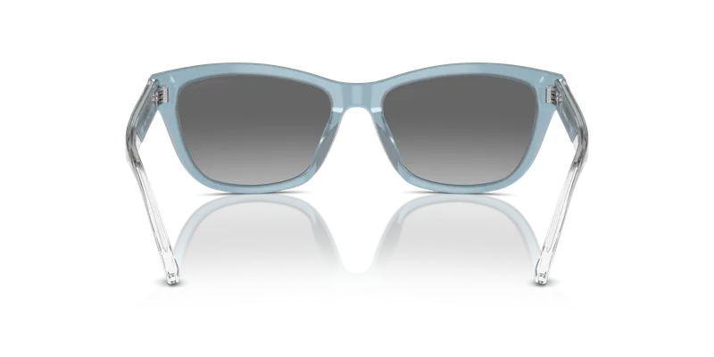 แว่นกันแดด Emporio Armani EA4227U-609611 ด้านหลังตาแมวเต็มขอบรูปแบบสากล