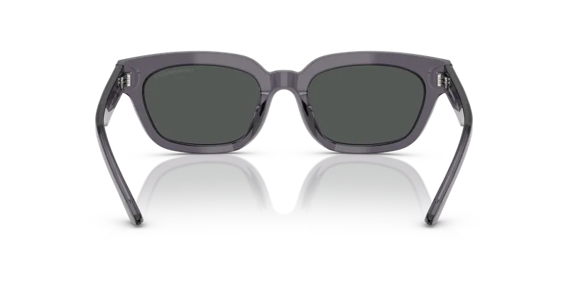 แว่นกันแดด Emporio Armani EA4233U-610687 มุมหลัง โครงเต็มขอบไซซ์ 53