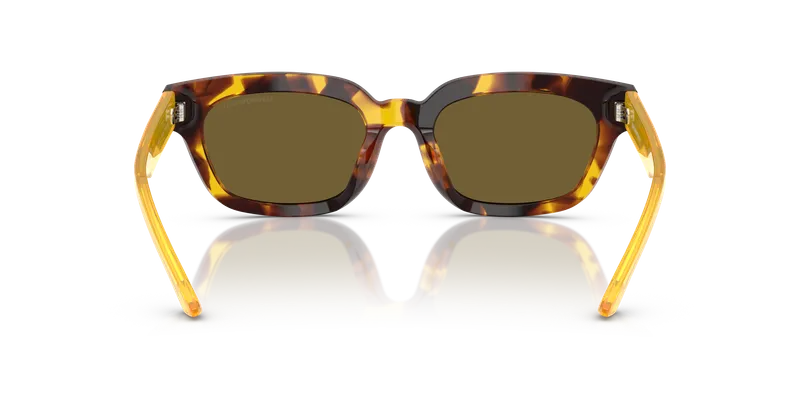 แว่นกันแดด Emporio Armani EA4233U-618173 ด้านหลัง แว่นอะซิเตทไซซ์ 53