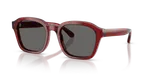 Shiny Transparent Red Grey