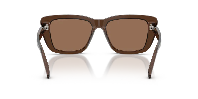 Emporio Armani EA4246U-625173 ขาแว่นด้านใน