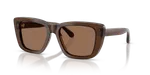Shiny Transparent Brown Dark Brown