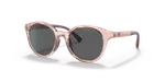 Shiny Transparent Pink Dark Grey