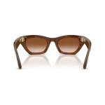 Rayban Meta Zena Gen 3 สี Havana เลนส์ Gradient Brown มุมด้านหลัง Rayban Meta Zena Gen 3 สี Havana เลนส์ Gradient Brown มุมด้านหลัง