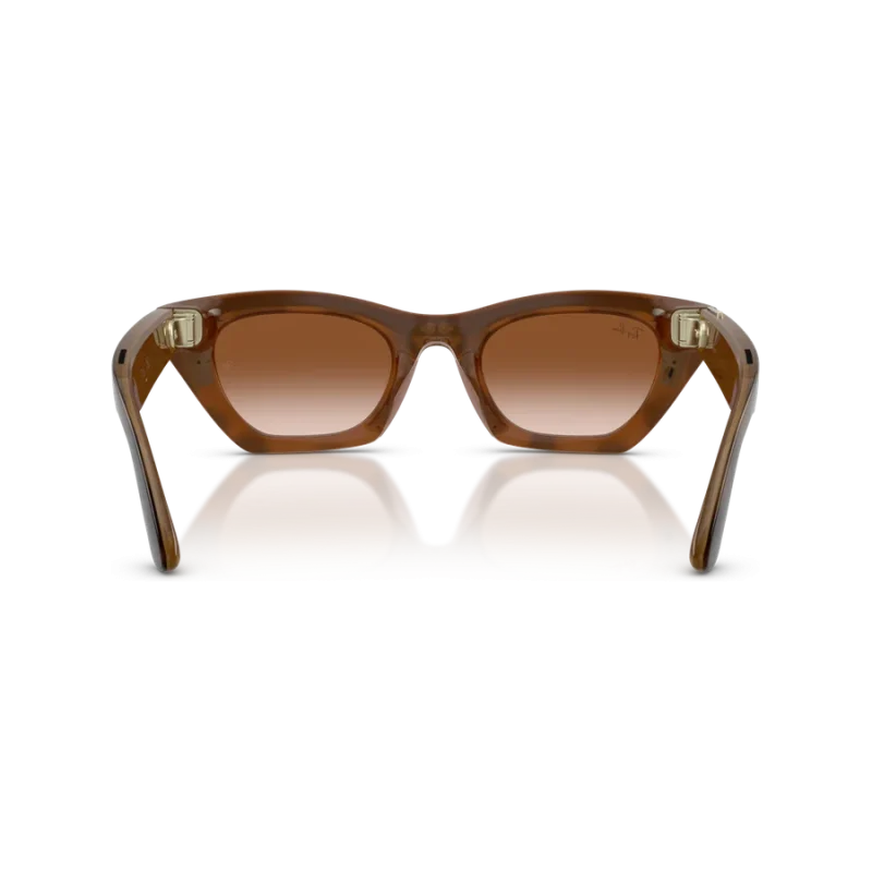 Rayban Meta Zena Gen 3 สี Havana เลนส์ Gradient Brown มุมด้านหลัง